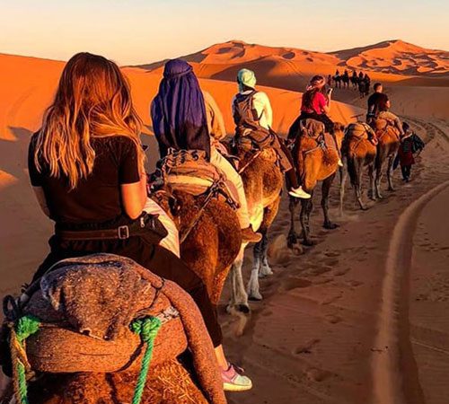 Fes Camel Rides