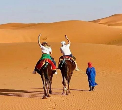Camel rides at Tangier