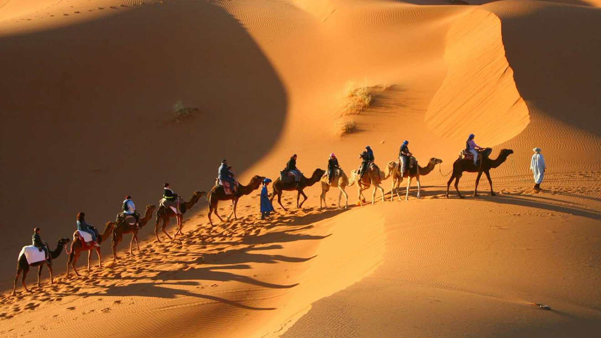 Morocco Desert Adventures