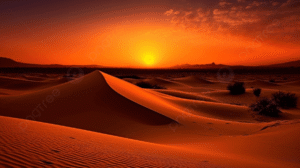 Morocco Desert Adventures : Top Experiences in the Sahara