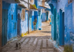 Casablanca to Chefchaouen Tour | Discover Morocco’s Blue City