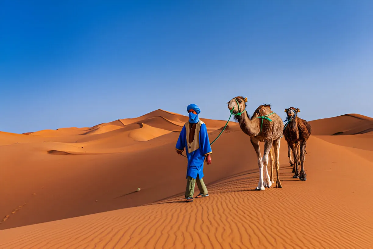 Grand Morocco Desert Tours