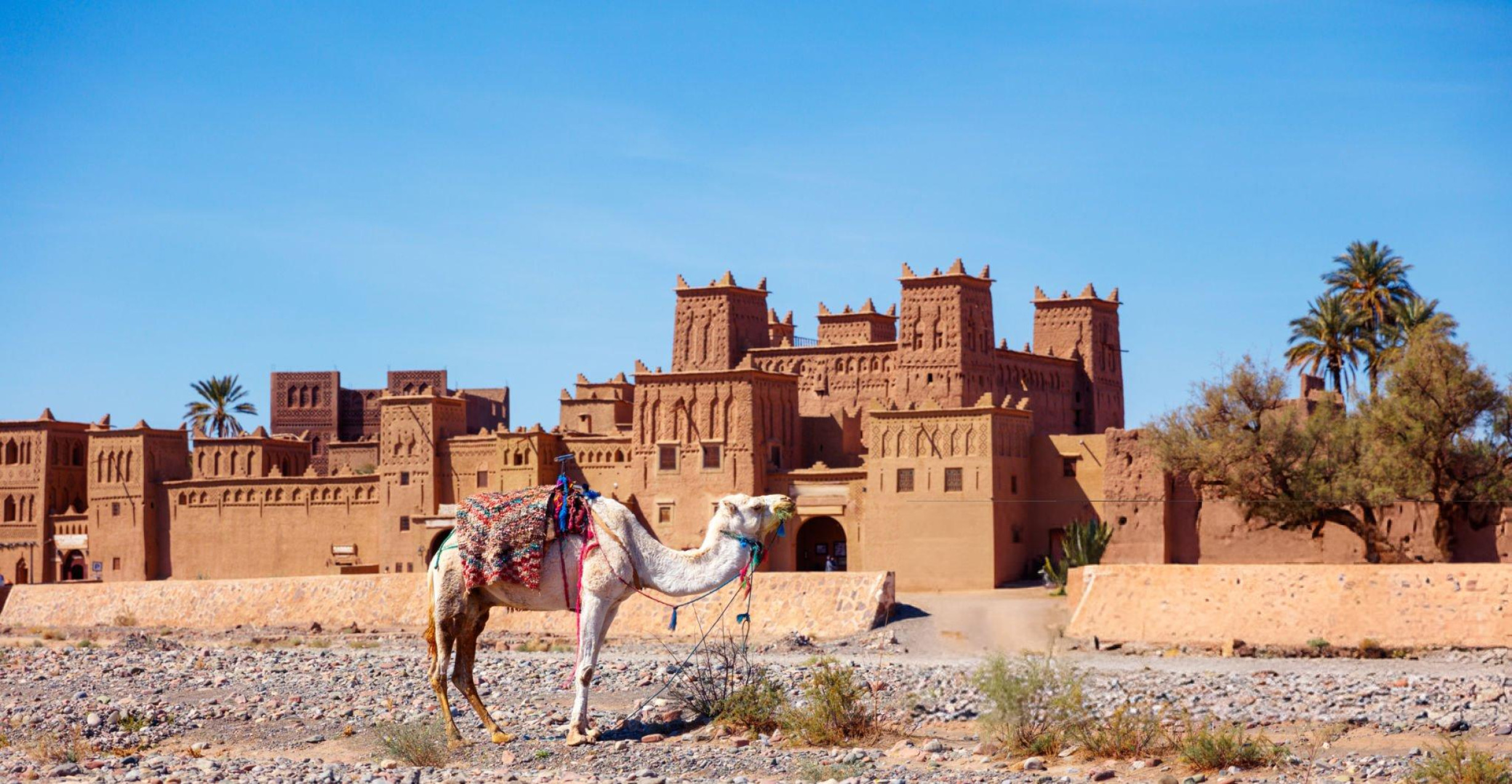 Private Tours from Ouarzazate | Desert Trips & Custom Morocco Tours