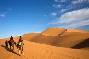 Casablanca to Sahara Desert: A Journey Across Morocco’s Changing Landscapes