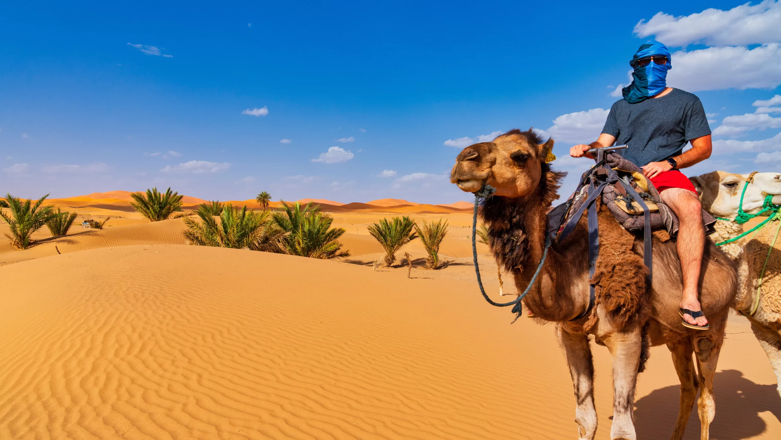 Your Morocco Holidays | Custom Morocco Holidays & Private Tours