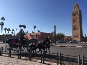 Marrakech City Tour Guide: Explore the Red City with Local Experts