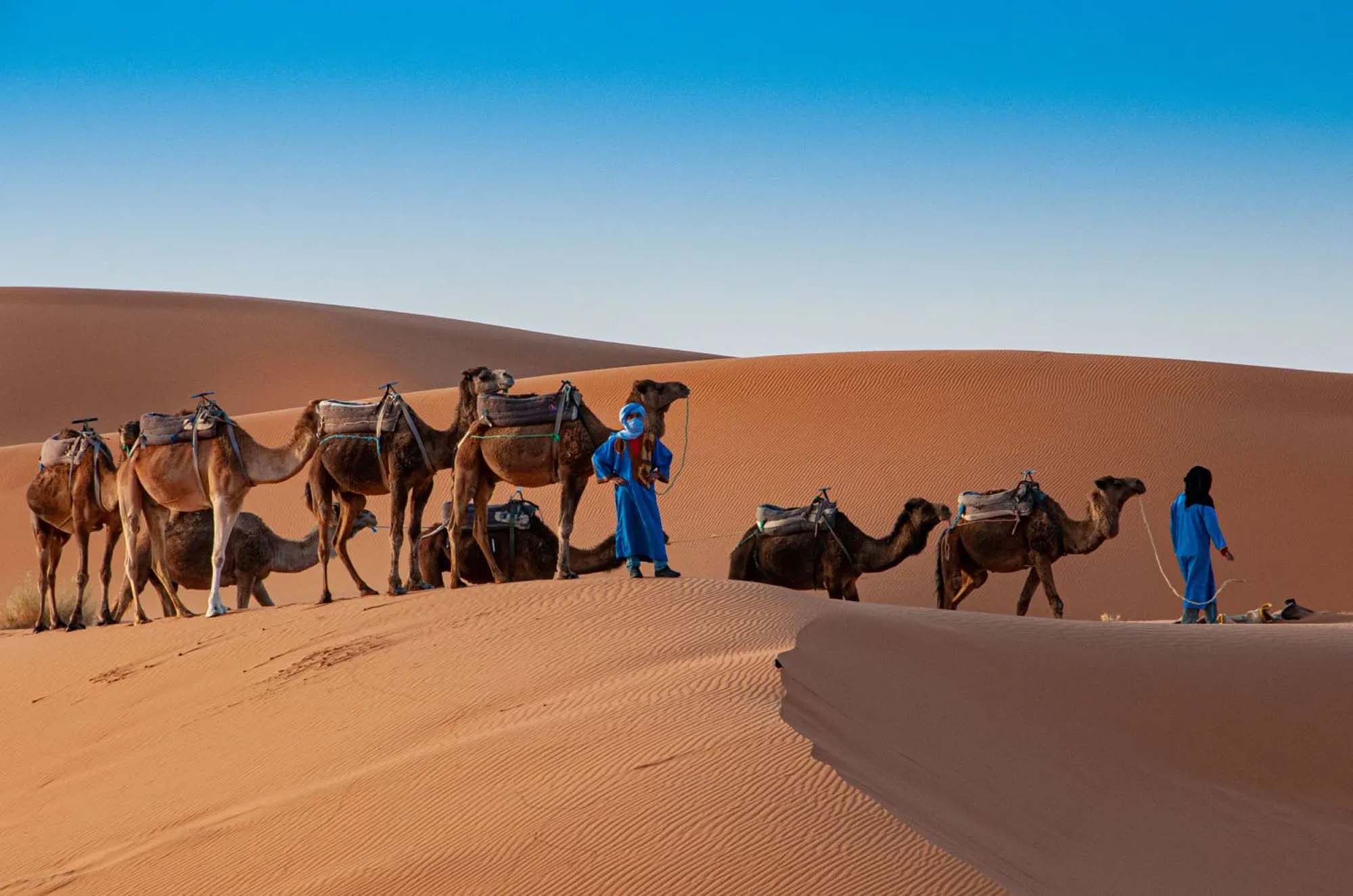 Sahara Desert Experiences: 9 Best Moments on a Morocco Tour 