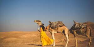 The Ultimate Guide to Morocco Private Excursions: Best Places, Experiences & Itineraries for 2026